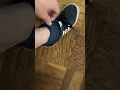 HOW TO GET RID OF FLEAS IN 12 hrs Best way