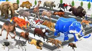 Epic Maze Madness Race Challenge 24 Wild Animals Run: Who Will Win? Animal Revolt Battle Simulator
