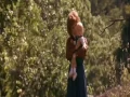 Download Lagu Stephen Bishop - It Might Be You (Music Video) from Tootsie 1982