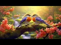 Download Lagu Birds Singing - Relaxing Bird Sounds Heal Stress, Anxiety and Depression, Heal The Mind