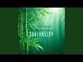 Download Lagu Whispers of the Bamboo (Part I)