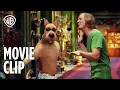 Scooby-Doo 2 Monsters Unleashed Old man Wickels House Warner Bros Entertainment