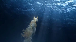 Al Jazeera Arabic Station ID 