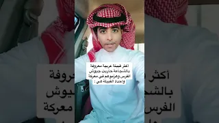اشجع قبيلة عربية  اشجع قبيلة عربية