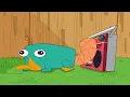 Phineas and Ferb | Candace Theme Song Takeover | @disneychannelanimation