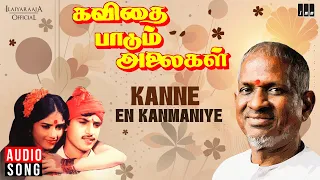 kanne en kanmaniye song kavithai paadum alaigal ilaiyaraaja mano k s chithra tamil song