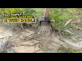 Download Lagu Parit tempat biasa spot bagi pemancing ini di ratakan dengan semak semak yang ada di pinggir parit