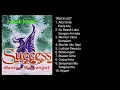 SUCCES _ MANTAP MENYENGAT (1997) _ FULL ALBUM