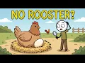 Why Chickens Lay Eggs Without a Rooster