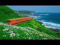 Download Lagu Healing Music for the Heart🌿Relaxing Nature Sounds for Stress Relief, Calm Mind \u0026 Inner Peace