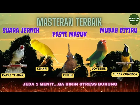 Download MP3 5 in 1 MASTERAN JERNIH dengan Jeda (Masteran Tembakan Kasar)