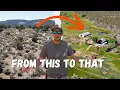 Regenerative Farm in the High Desert growing trees and cows