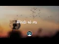 Ray LaMontagne - Such a Simple Thing