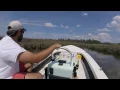 Ankona Skiff Creek Run - Charleston SC