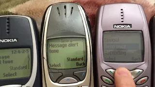                              دندنها