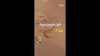 رسالة مروة قبل أن تغادر أرض المليون 