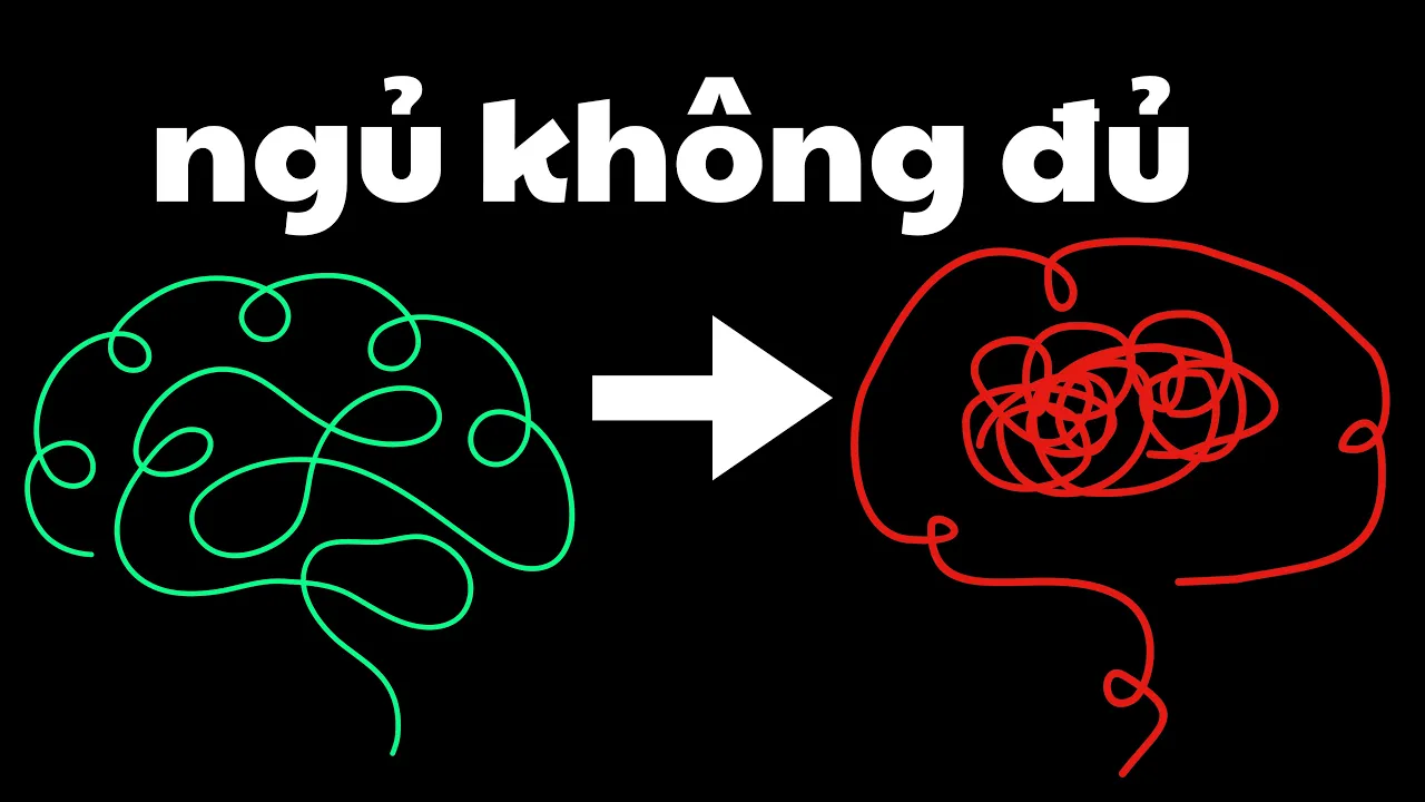 Outline Video Bộ Não Làm Việc Cật Lực Ra Sao Khi Ta Ngủ? Câu Trả Lời Sẽ Khiến Bạn Kinh Ngạc!