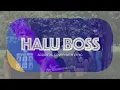Download Lagu Armada - Halu Boss (Acoustic Cover with lyric)