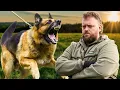 Fix Your Dog s Reactivity FAST - Real Training Breakdown