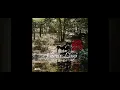 Zach Bryan - Bad news ( 1 hour loop )