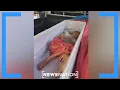 Woman found alive in coffin before being cremated Banfield