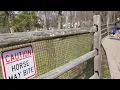 Van Saun Park Zoo and Train Ride