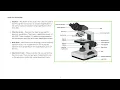 PARTS AND FUNCTION OF MICROSCOPE