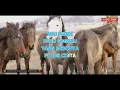 Betharia Sonata Biar Ku Sendiri Karaoke
