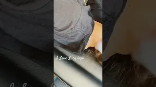 Https M Facebook Com TheTattooedHeathen Mibextid LQQJ4d 