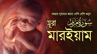 বাচ্চার সুস্থতার জন্য বেশি বেশি শুনুন সূরা মারইয়াম | Surah Maryam for Pregnancy | Abdullah Al Mahdi