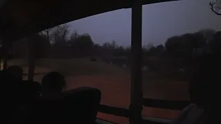                         دندنها