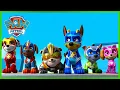 De Mega Pups houden een ruimteschip tegen enzovoort - PAW Patrol Nederlands