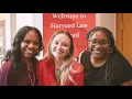 Harvard Law Memories 2023-2024