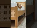 Vídeo do produto