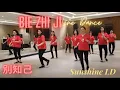 Download Lagu Bie Zhi Ji 別知己 (Remix) Line Dance