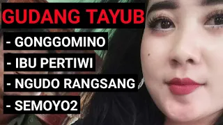 Download TAYUB - GONGGOMINO, IBU PERTIWI, NGUDO RANGSANG, SEMOYO2 MP3