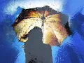 八神純子 - みずいろの雨