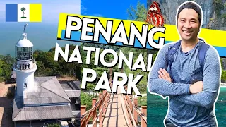 Download 🟦🏝🟨 Penang National Park Reopen: Malaysia Interstate Travel Lifted Taman Negara Pulau Pinang MP3