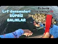 Download Lagu Hanfish Zıpır Süpriz Balıklar / Çeşit Çeşit Balık Yakaladım / Lrf Balık Avı / Faydalı Bilgiler‼️