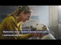 Can Dogs Eat Shrimp - Maybe Maybe Not
