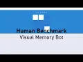 Visual Memory Bot World Record OLD Human Benchmark