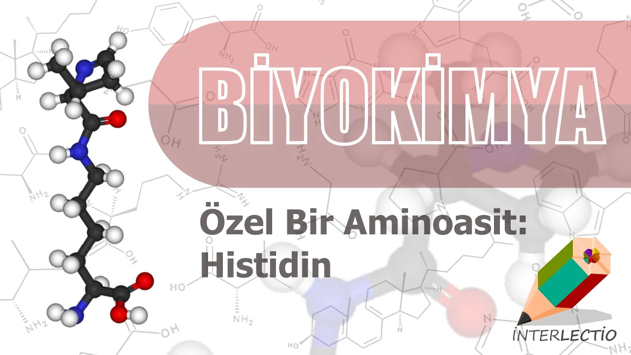 Biyokimya | Aminoasitler ~ Özel Bir Aminoasit: Histidin