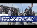 Lagu Ricuh! Detik-Detik 97 WNI Kabur dari Perusahaan Penipuan di Kamboja, 4 Diproses Hukum | BERUT