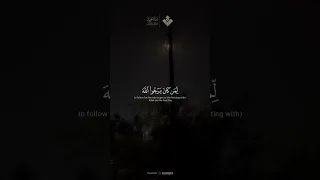 لقد كان لكم في رسول الله أسوة حسنة المنشاوي قرآن 