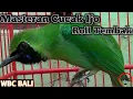 Download Lagu masteran cucak ijo roll tembak
