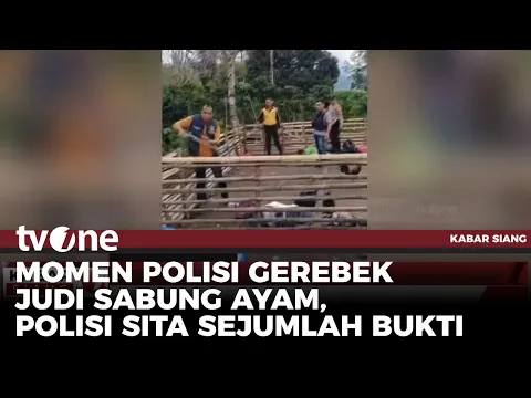 Penggerebekan Judi Sabung Ayam Diwarnai Letusan Tembakan Peringatan