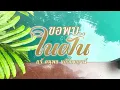 ขอพบในฝัน - แจ้ ดนุพล แก้วกาญจน์ [ Official Audio ] I เวอร์ชันนุ่มละมุนที่สุดในโลก!