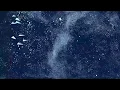 Flocking simulation 500 000 boids using C CUDA