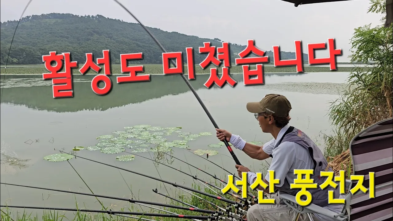 미친 활성도!! 정신 없이 마구마구 잡았습니다!! 충남 서산 풍전저수지 붕어낚시!! サムネイル