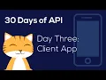 30 Days of API Day 3 Client Side Parsing